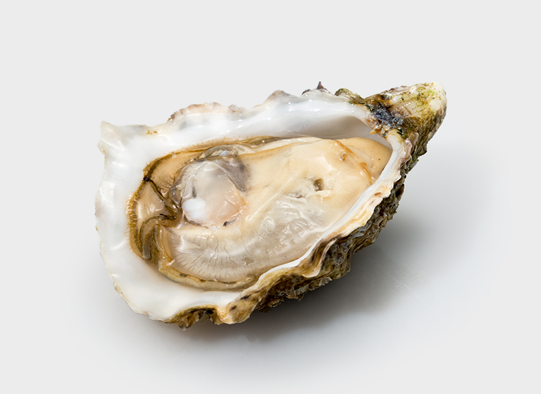 Oysters Umami