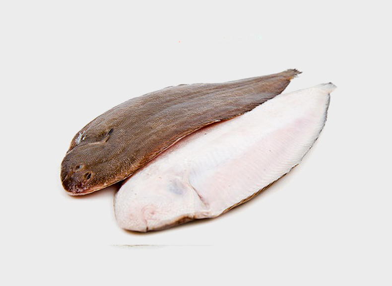 Fish market Sole