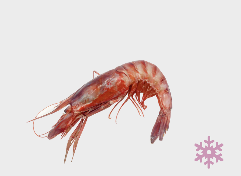 raw fish Gambero Viola
