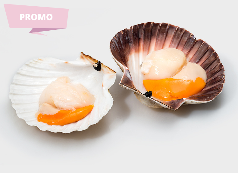 Fish market Scallops