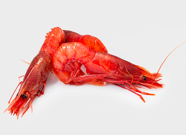 raw fish Gambero rosso