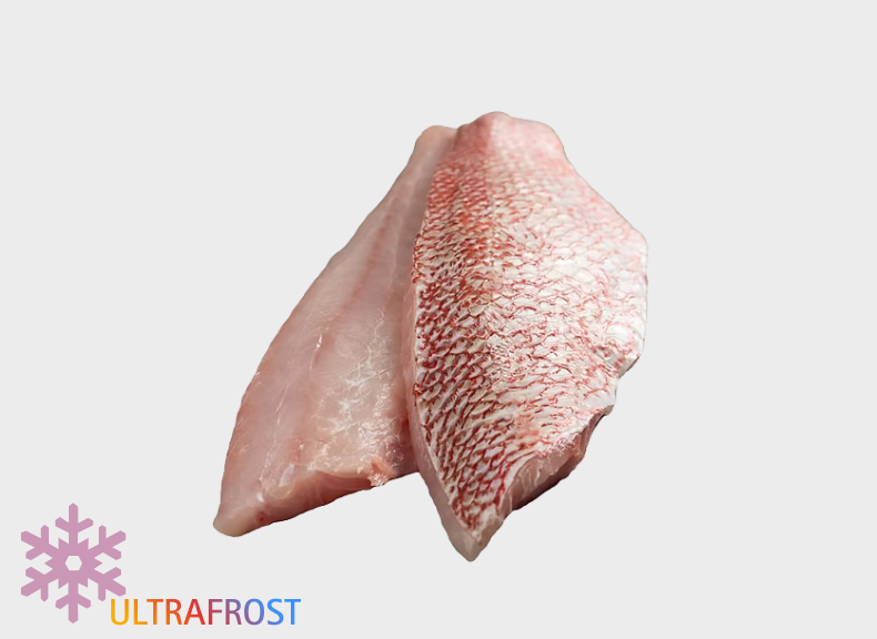 Ocean - Fit Scorfano