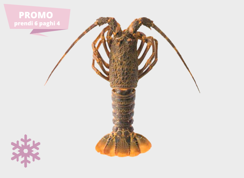 raw fish Tristan Lobster