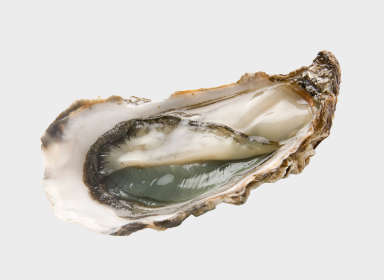 Oysters Fine de Claire Verte Label Rouge