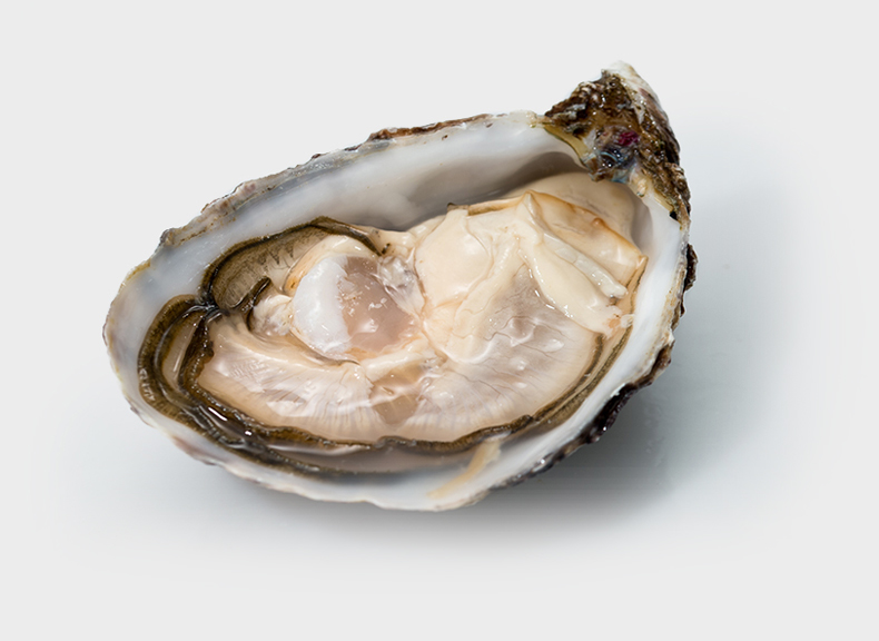 Oysters Cocollos