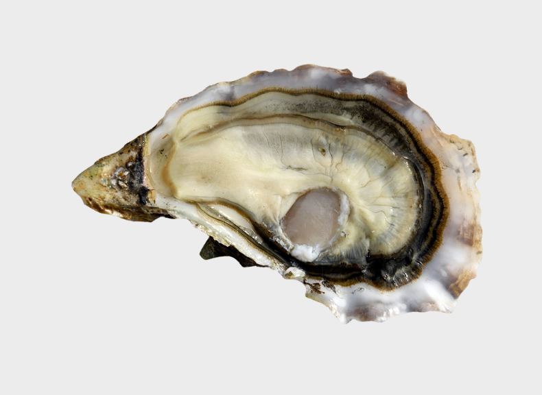 Oysters Super Speciale di Chironfils