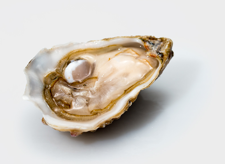 Oysters Louet Feisser