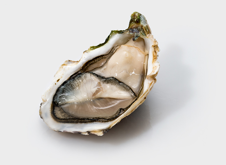 Oysters Lamaison Grand Cru