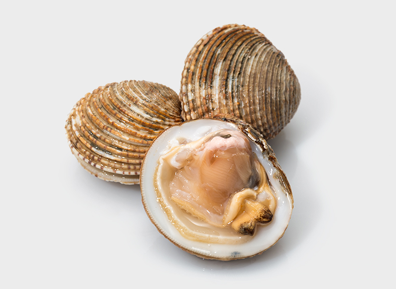 Fish market Sea truffle
