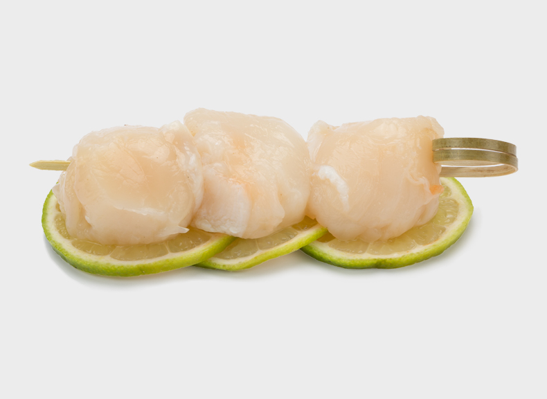 Fish market Scallop pulp