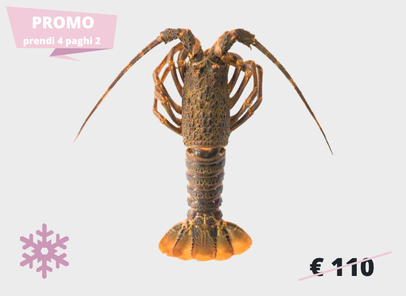 raw fish Tristan Lobster