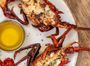 Aragosta di Tristan (Jasus tristani)