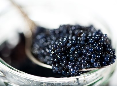 Guida al Caviale