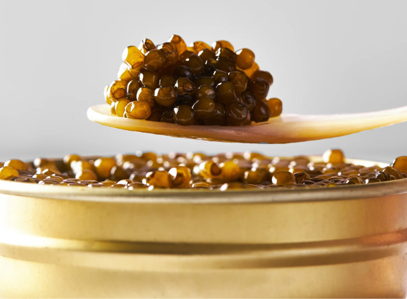 Guida all'acquisto del caviale