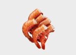 Sashimi di gambero
