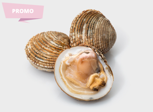 Pescheria Tartufo di mare