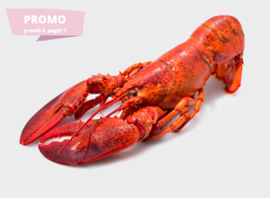 Pescheria Astice del Maine