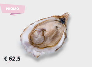 Ostriche Calvadosienne