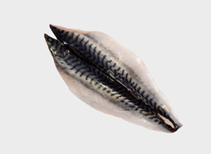 Pescheria Sgombro filetto