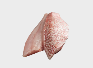 Pescheria Pagro filetto