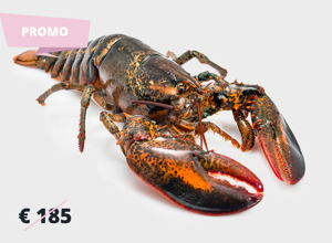 Pescheria Astice Jumbo