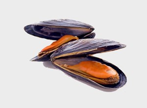 Pescheria Cozze pulite