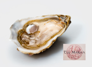 Ostriche Tia Maraa