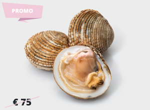 Pescheria Tartufo di mare