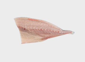 Pescheria Ricciola filetto