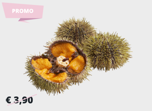 Pescheria Riccio Verde Islandese