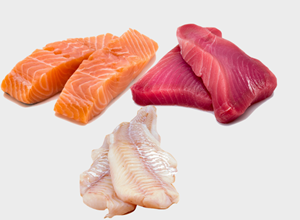 Pescheria Box per sportivi