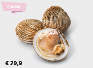 Pescheria Tartufo di mare