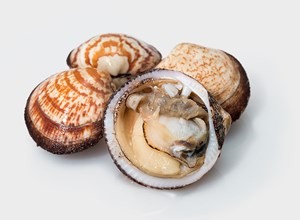 Pescheria L'amande de mer