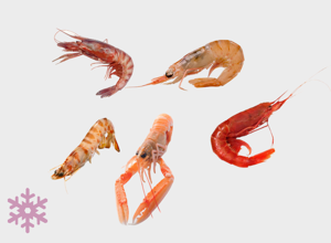 ULTRAFROST Mix Crostacei