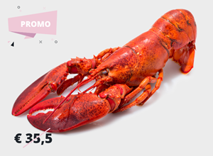 Pescheria Astice del Maine