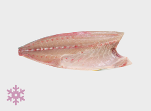 ULTRAFROST Ricciola selvaggia filetto