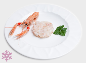 ULTRAFROST Tartare di scampo