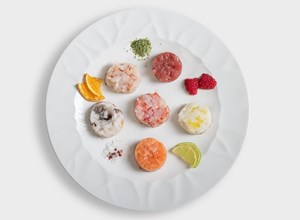 crudi Mini tartare