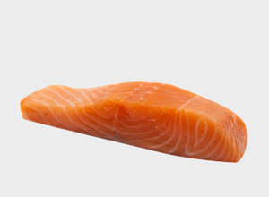 Ocean - Fit Salmone Norvegese