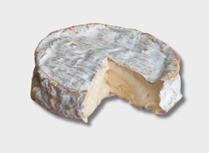 Specialità Brie de Coulommiers