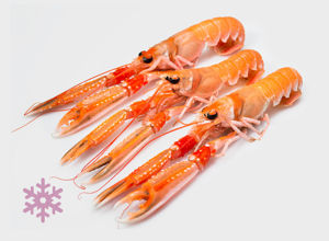 ULTRAFROST Scampone Imperiale