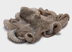 Pescheria Polpo pulito