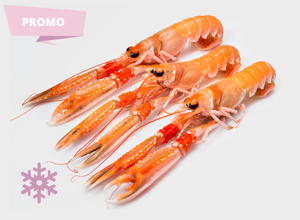 ULTRAFROST Scampone