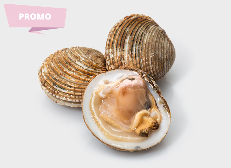 Pescheria Tartufo di mare