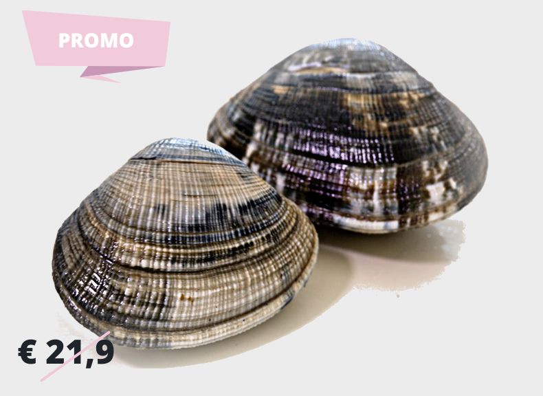 Pescheria Vongole veraci