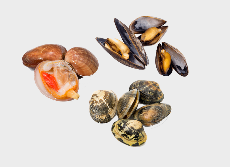 Pescheria Misto scoglio