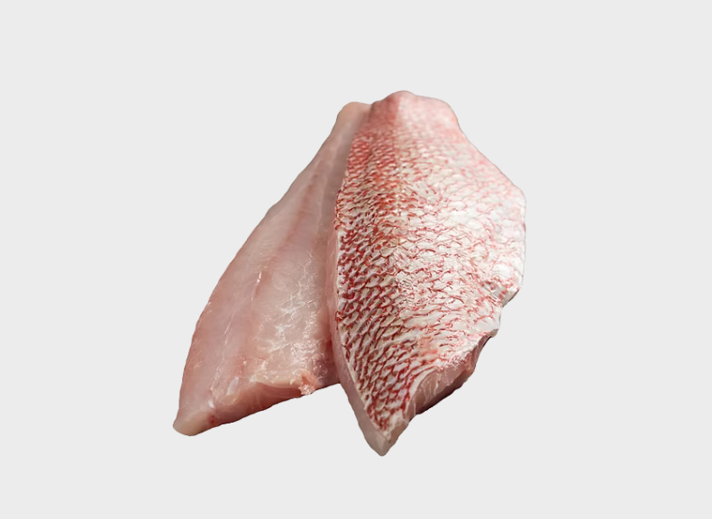 Pescheria Pagro filetto