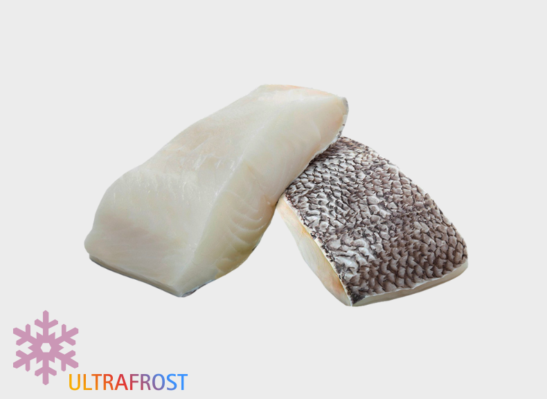 Ocean - Fit Branzino pescato amo Ikejime