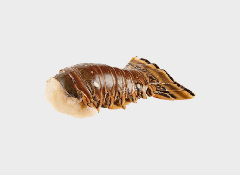 Pescheria Aragosta di Tristan