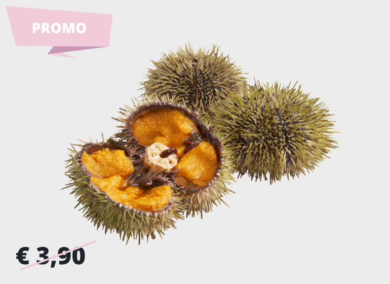 Pescheria Riccio Verde Islandese